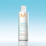 Luminous Wonders Repair Gift Set